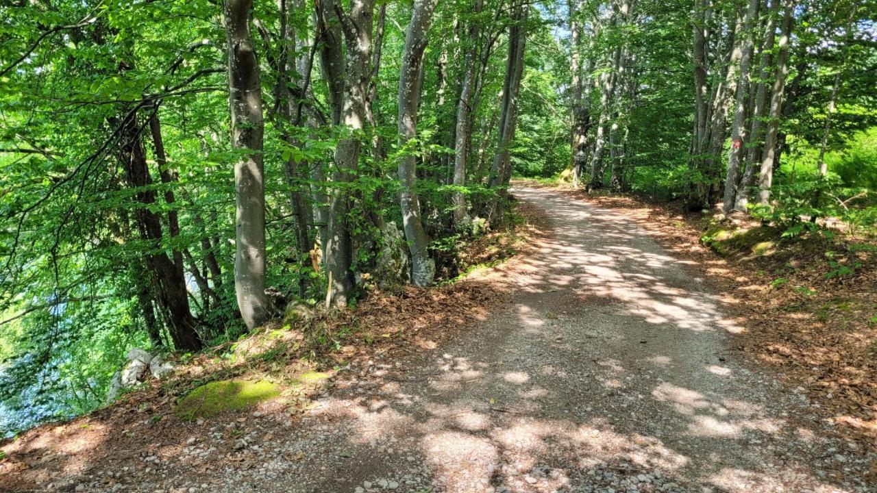 B&B Plitvica Villa Prica Plitvička Jezera Exterior foto